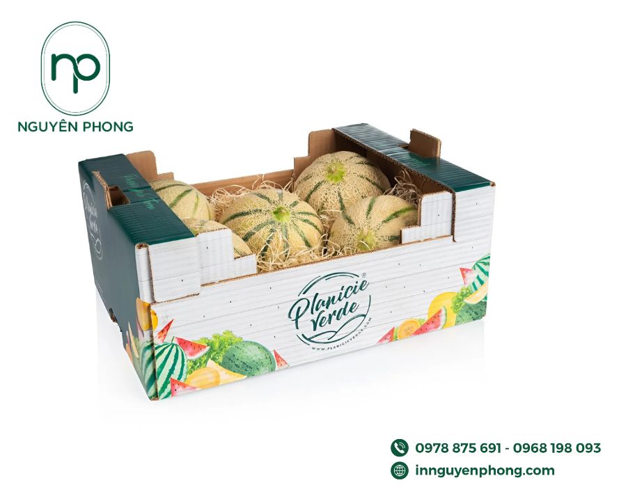 mau-hop-giay-dung-dua-luoi-thiet-ke-dep